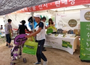 2014 전국생활체육 대축전